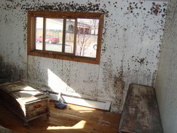 mold removal before by DRYFAST General Contractors